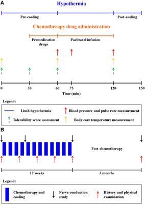 Limb Hypothermia for Preventing Paclitaxel-Induced Peripheral Neuropathy in Breast Cancer Patients: A Pilot Study